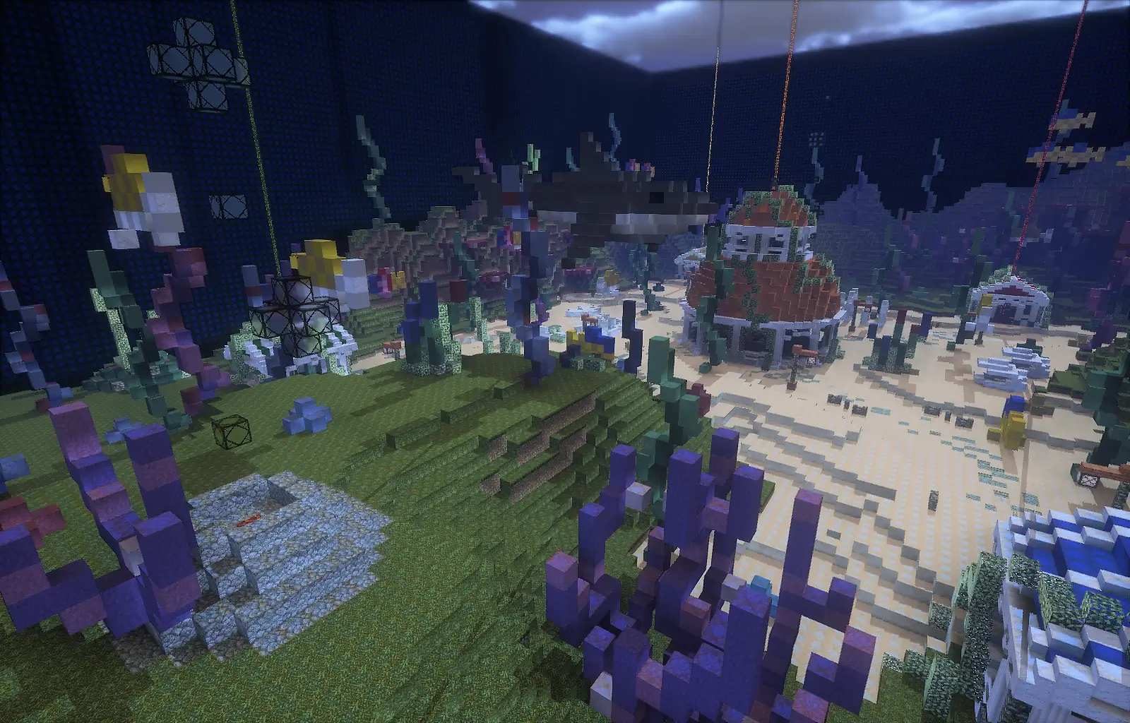 Ocean Rush the Flag Arena