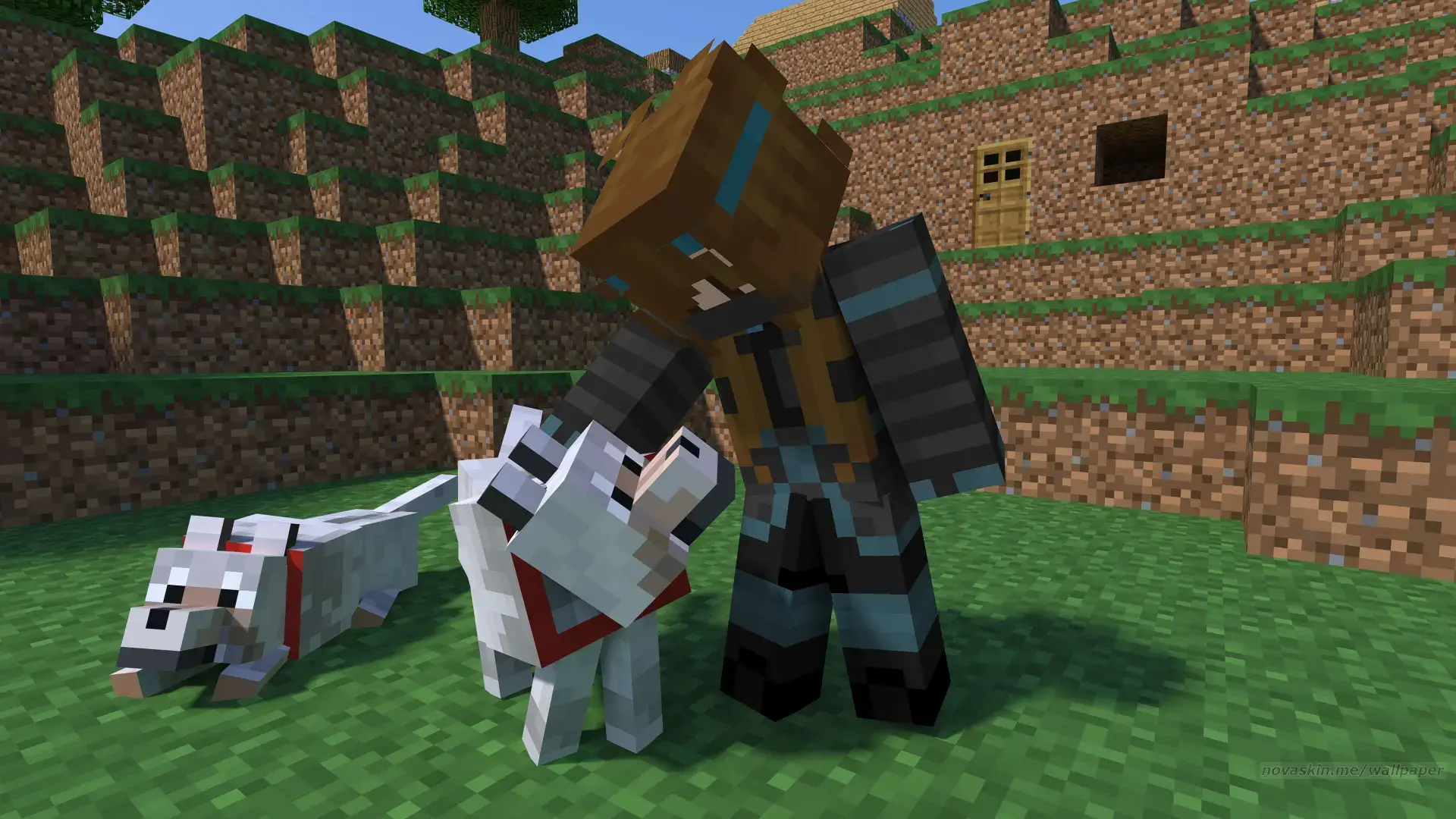 Cason Minecraft character with a wolf